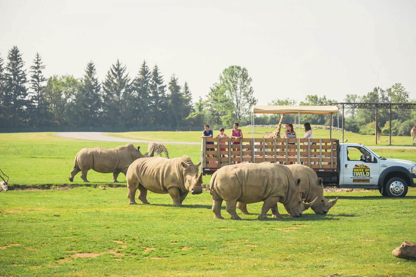 African Lion Safari Early Bird Membership