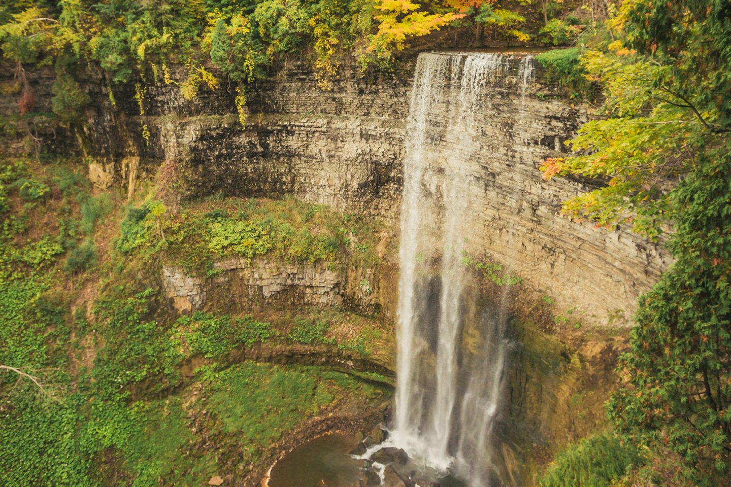 Overflow Yoga: Evening Yoga at the Museum - Hamilton Halton Brant