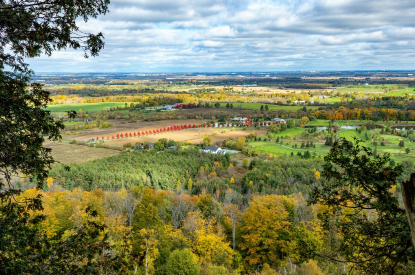 Mount Nemo Conservation Area