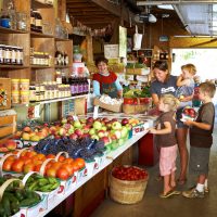 Elberta Farms Country Market