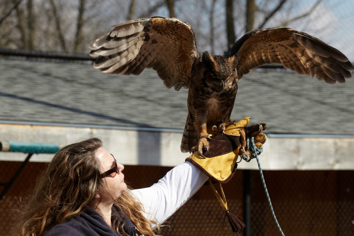 Conservation Halton