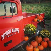 Merry Farms Inc