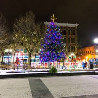 Christmas Tree of Hope and Lighting at Gore Park