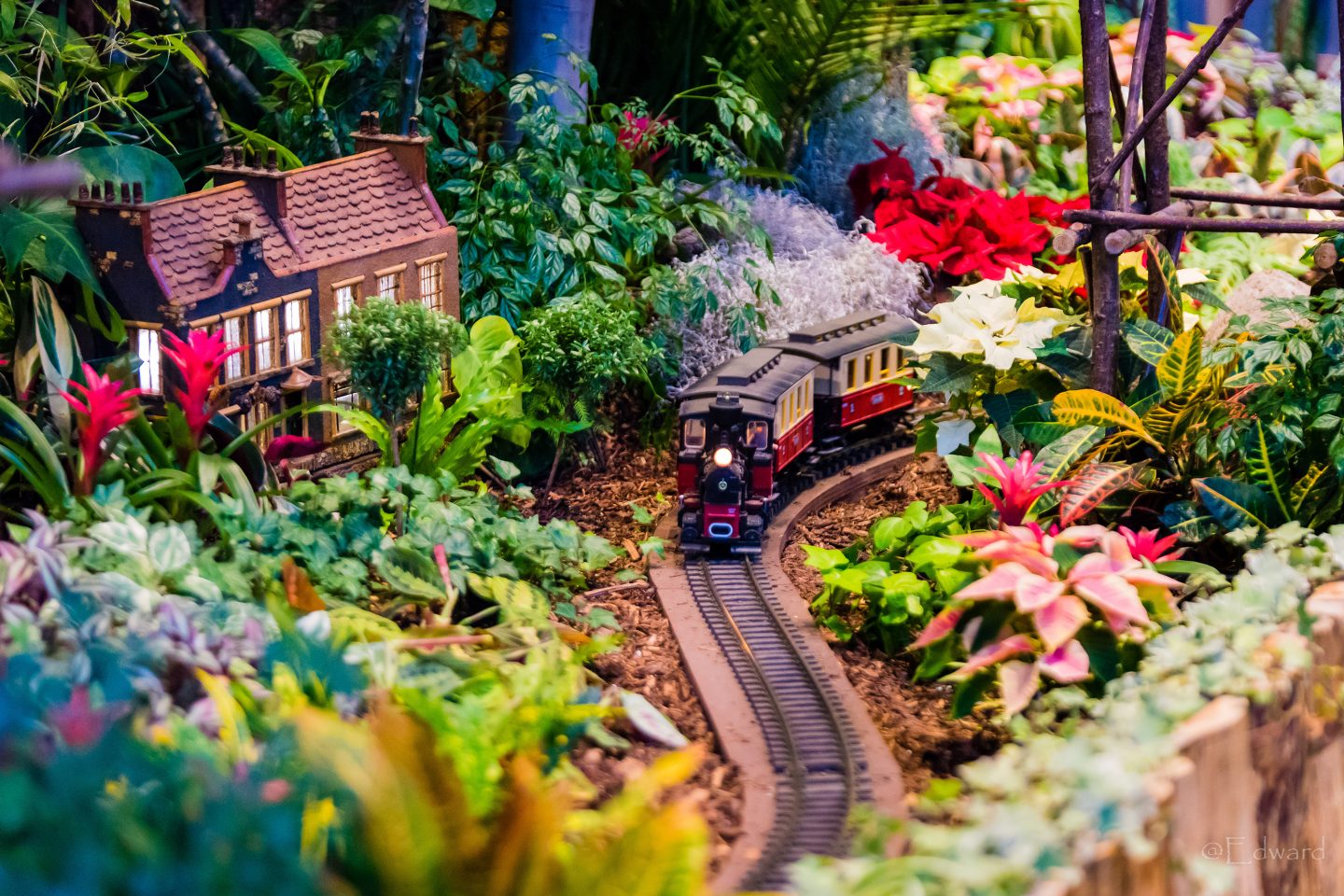 Escarpment Train Exhibit