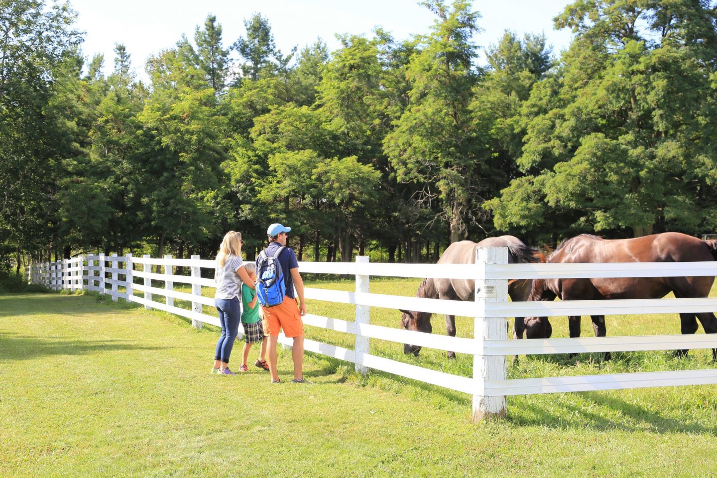 Conservation Halton