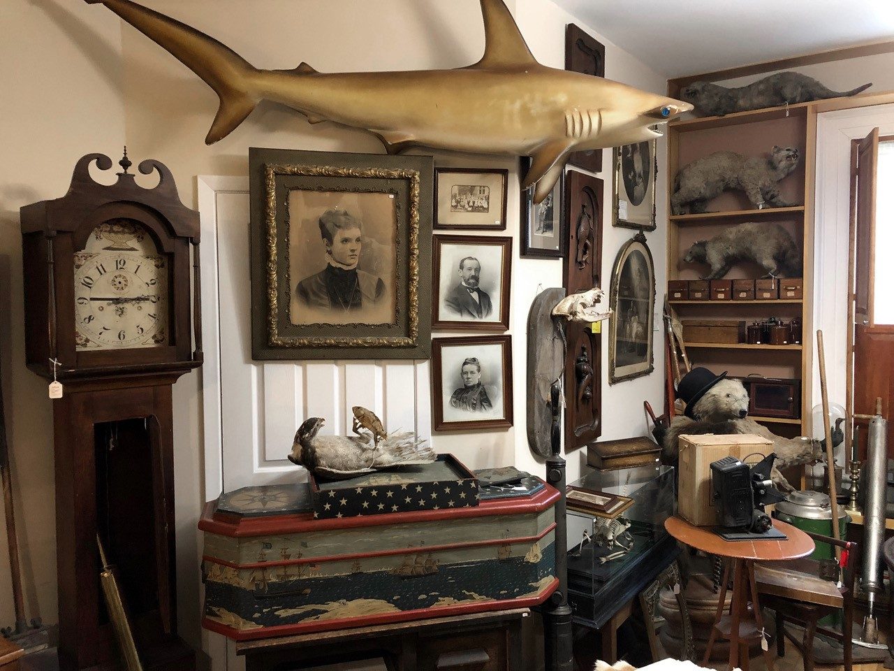 Cabinet of Curiosities and Otherwise Needful Things