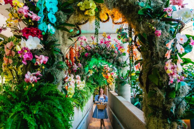 Dorothy enjoying the colourful orchid exhibits at Bloomland in Oz
