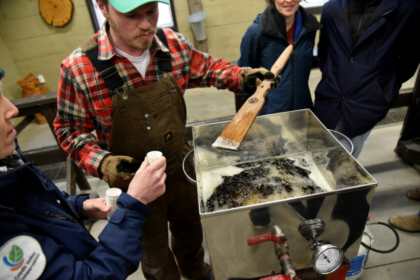 People enjoying samples of pure maple syrup at Maple Town at Mountsberg