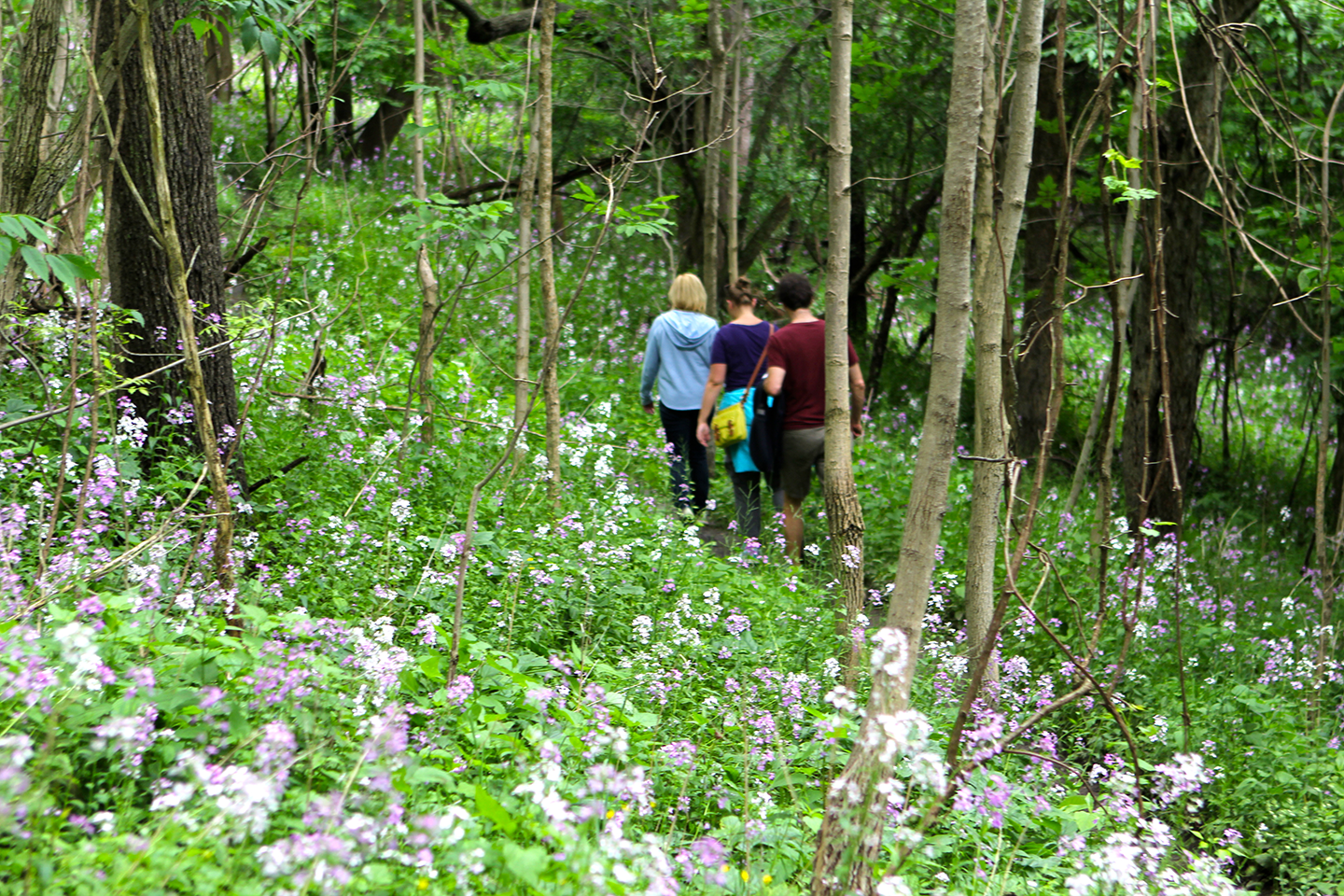 Grand Experiences: Bruce Trail 2 Day Hiking Package (Guided Trip)