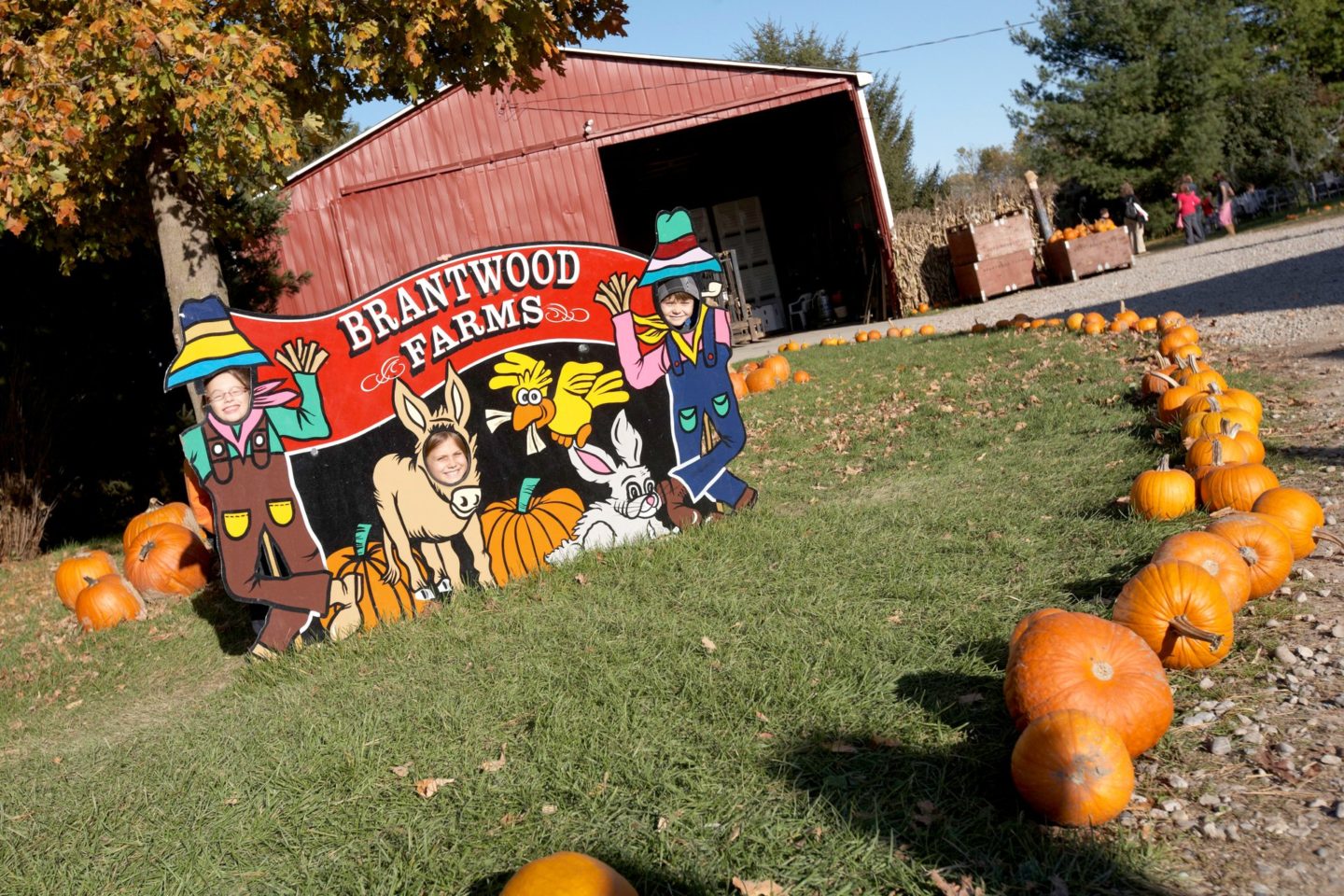 Fall Festival at Brantwood Farms 2024