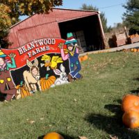 Fall Festival at Brantwood Farms 2022