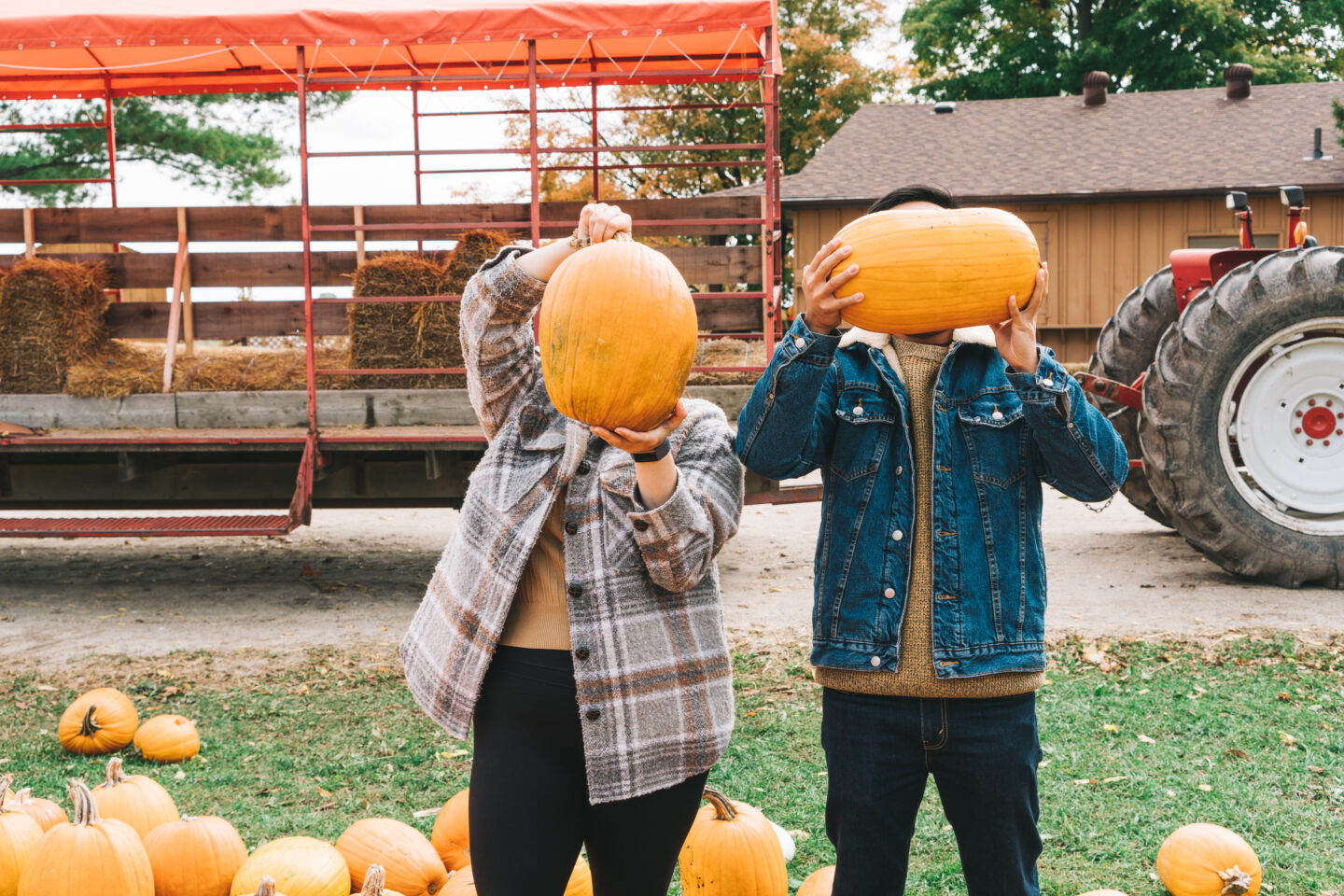 Pumpkinfest in Milton