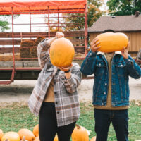 Pumpkinfest in Milton