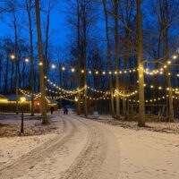 Winterlit: An Illuminated Walk in the Woods