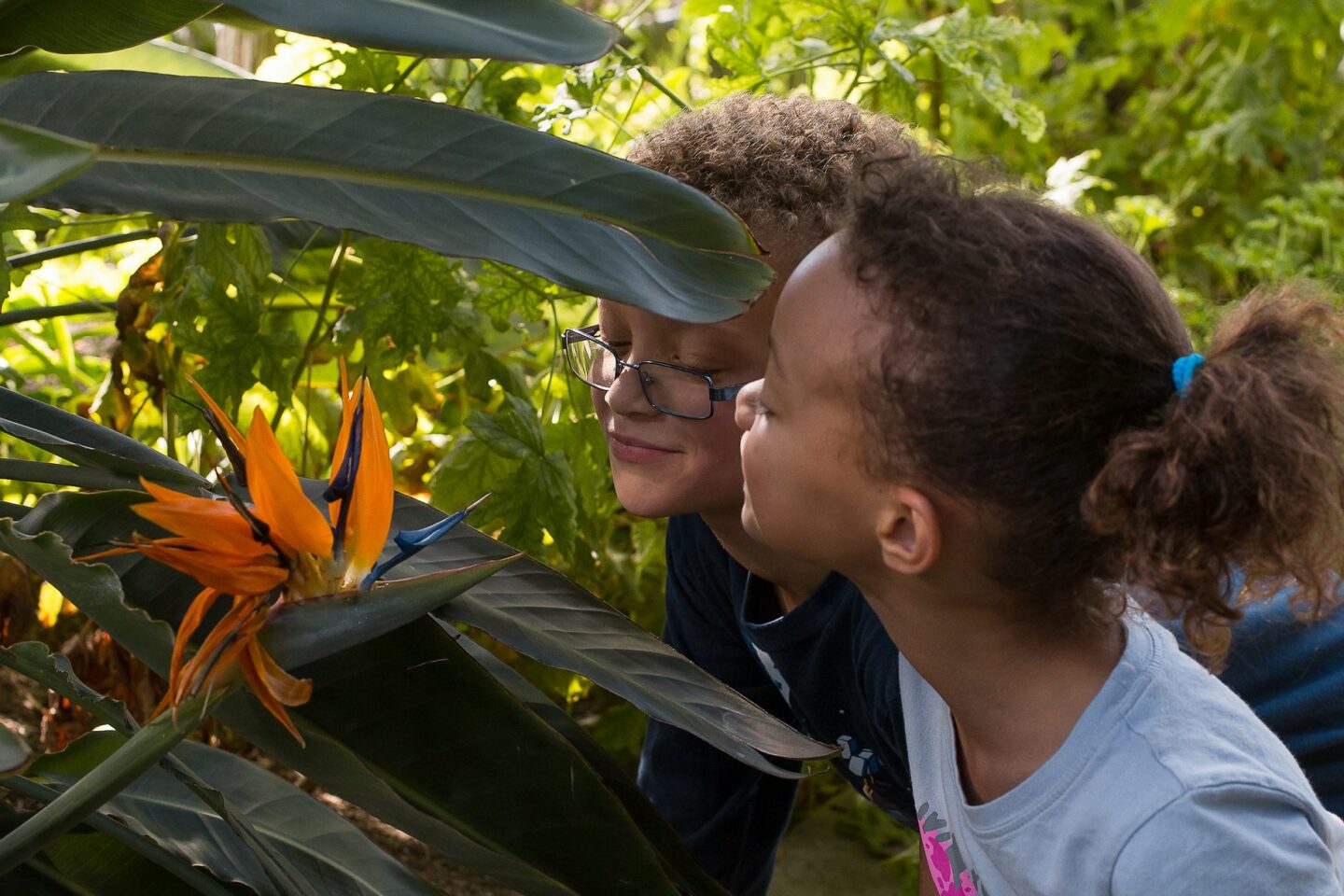 Children’s Gardening: Sow and Grow (Ages 5 to 7)