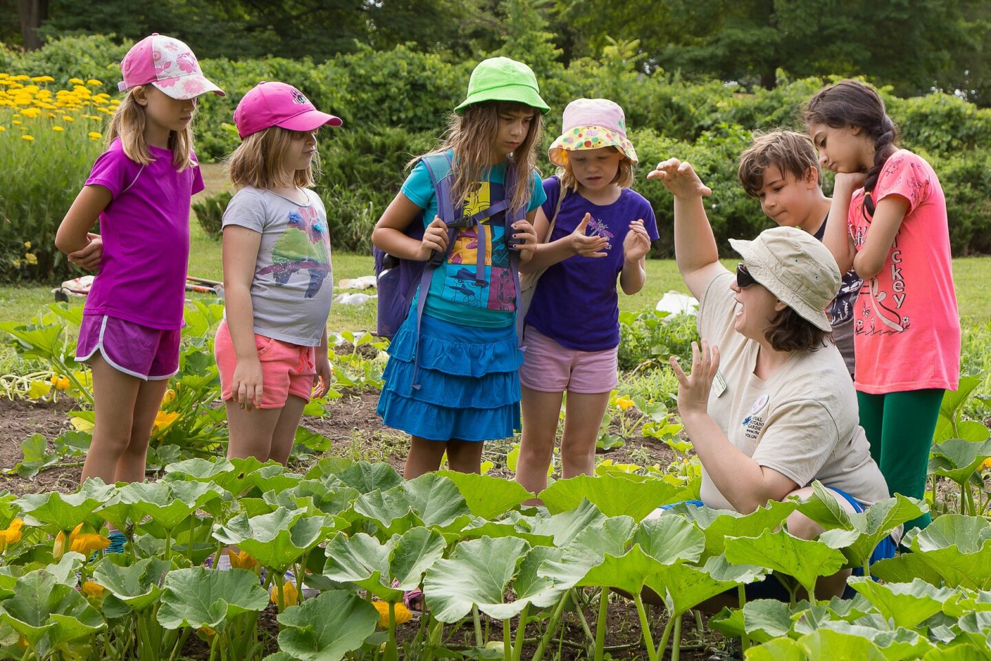 Children’s Gardening: Junior Master Gardeners (Ages 8 to 12)