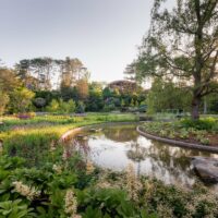 Become a Member at the Royal Botanical Gardens