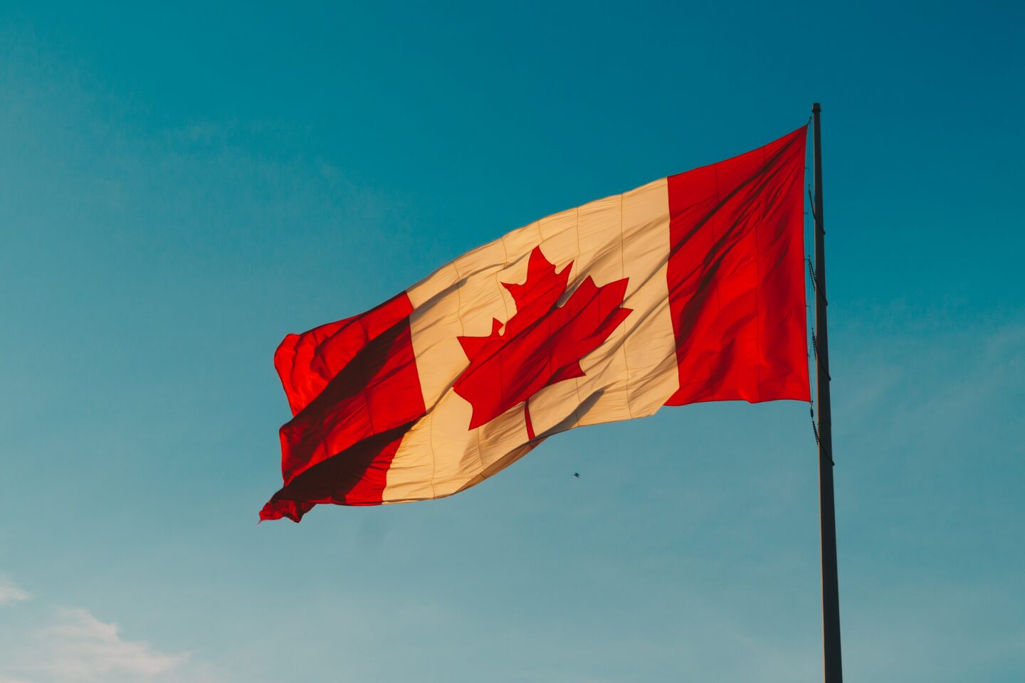 Brantford’s Canada Day