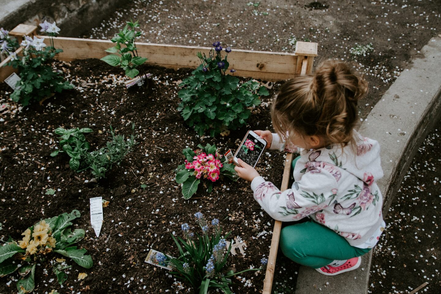 Children’s Gardening: Cockleshells and Silverbells (Ages 3 to 4)