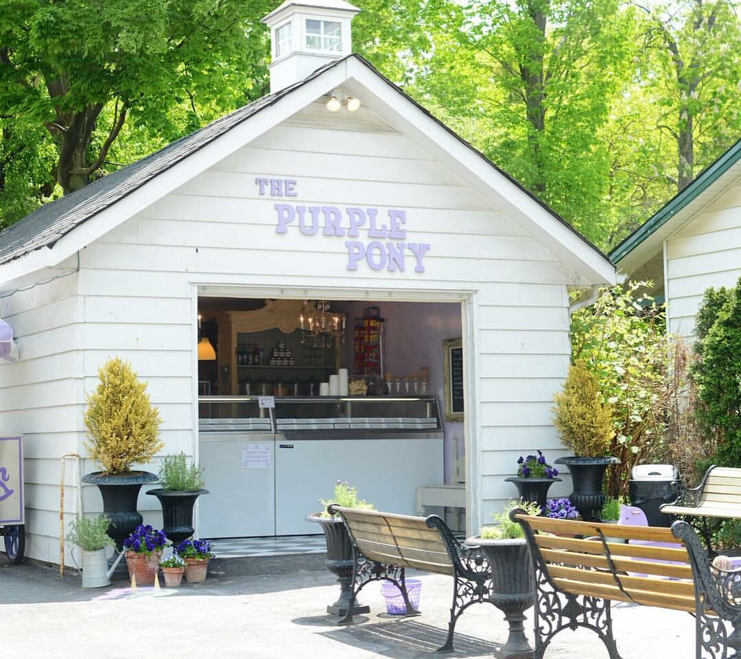 The Purple Pony Ice Cream Shop