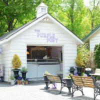 The Purple Pony Ice Cream Shop