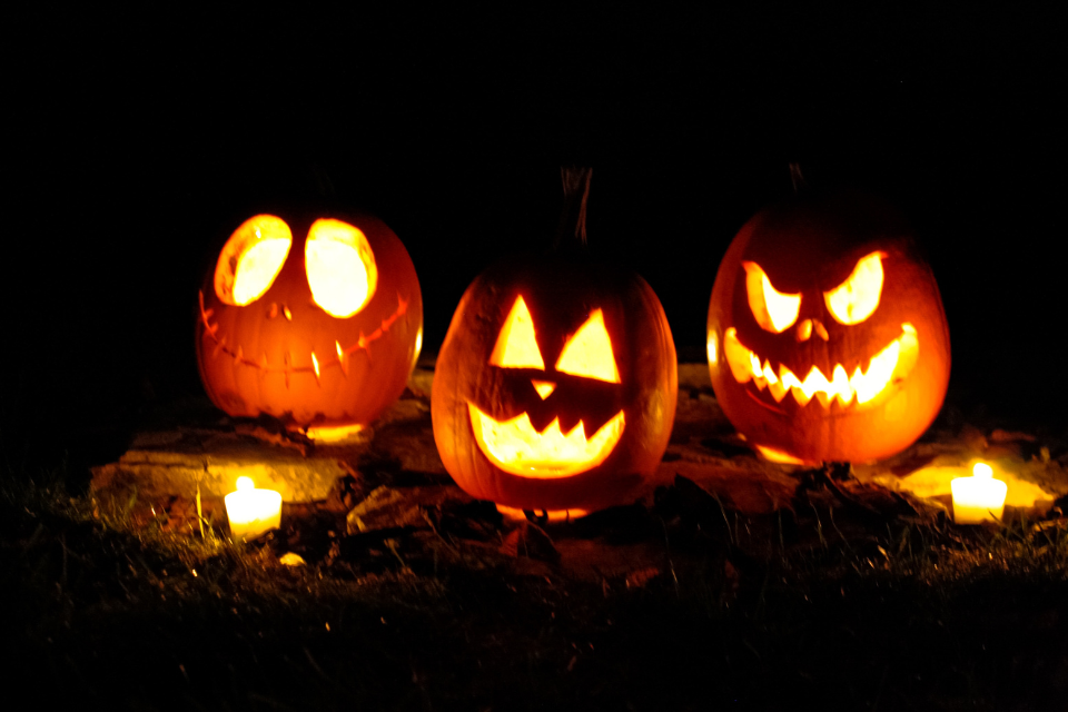 Youth Group Night: Pumpkins in the Park