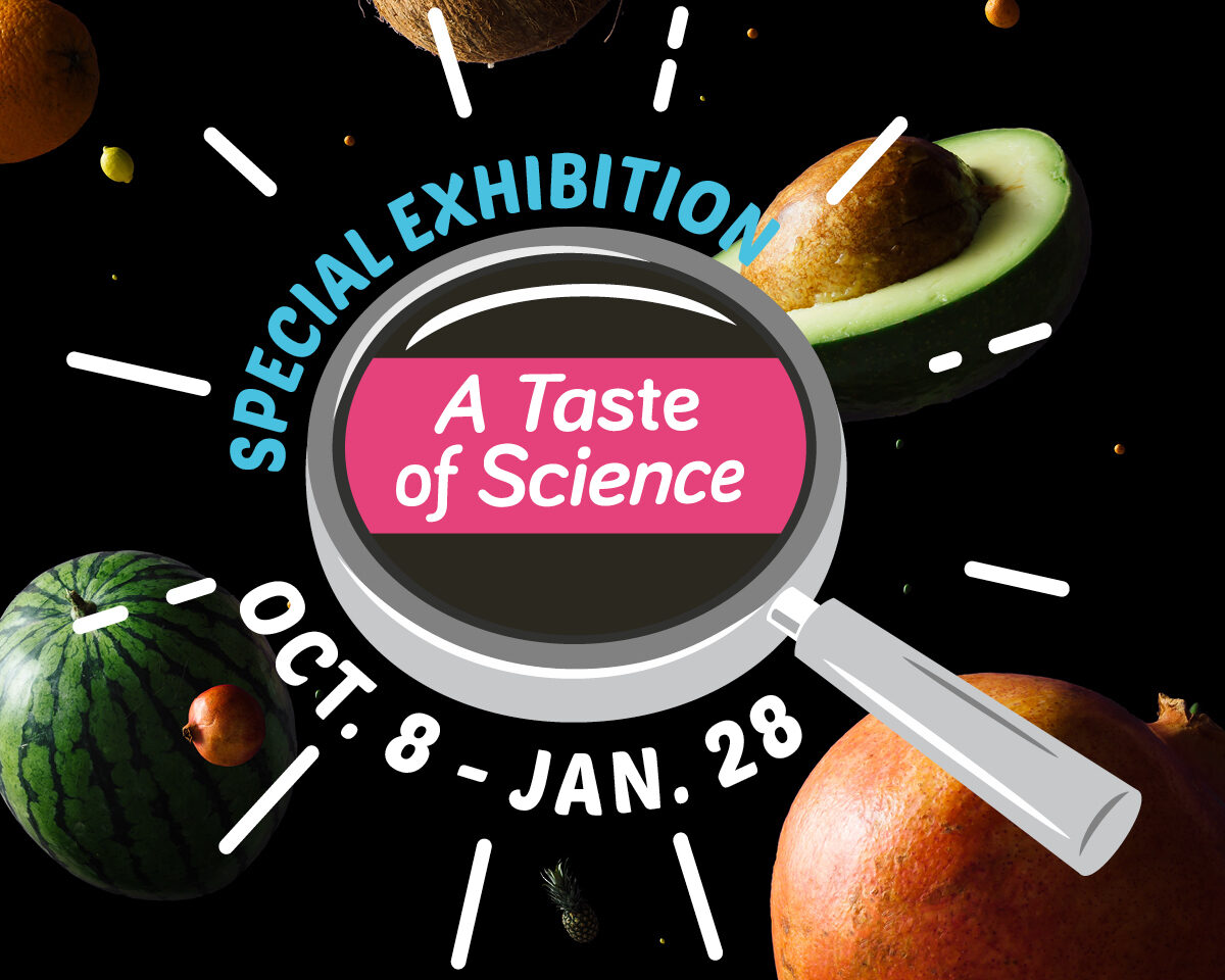 Special Exhibition | A Taste of Science