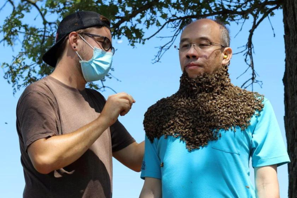 Bee Beard Experience