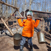 Sap to Syrup: A Maple Syrup Making Experience