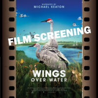 Film Screening: Wings Over Water