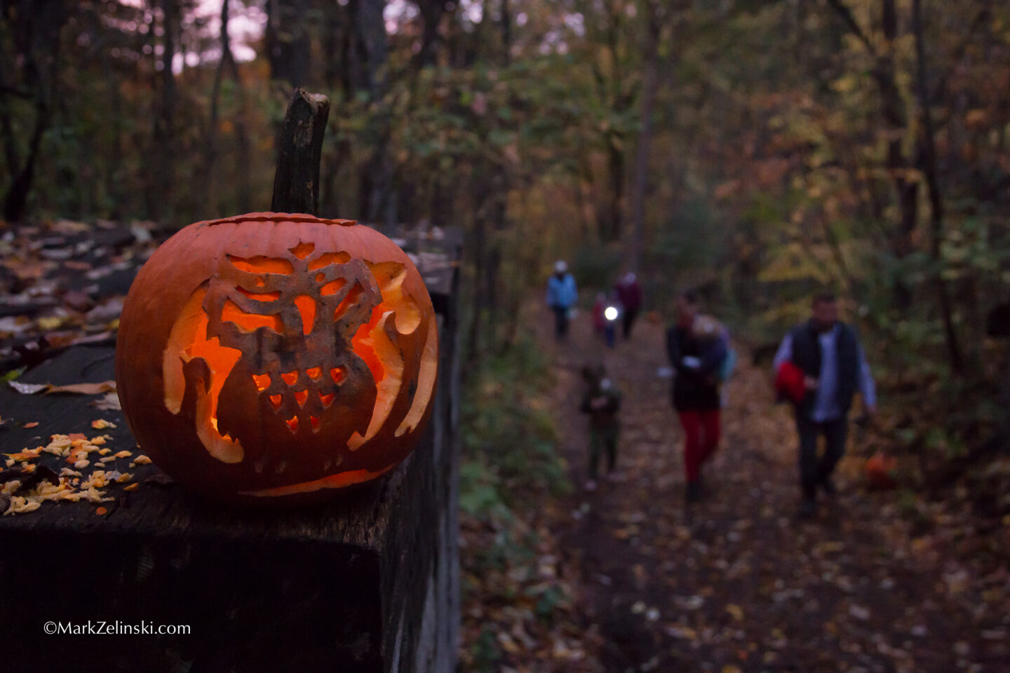 The Great Pumpkin Trail All Ages