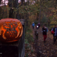 The Great Pumpkin Trail (All Ages)