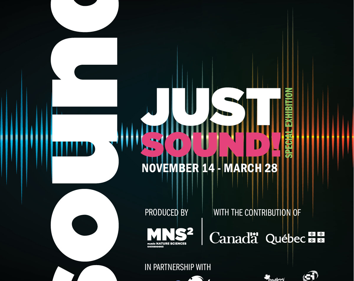 Special Exhibition: Sound, Just Sound