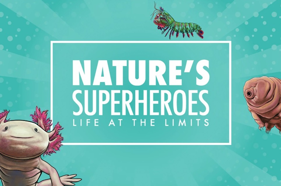 Winter Exhibit – Nature’s Superheroes: Life at the Limits