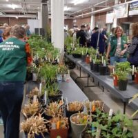 Paris Horticultural Society Annual Plant Sale