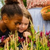 Hamilton Children’s Museum Pop-Up in Dundurn’s Kitchen Garden