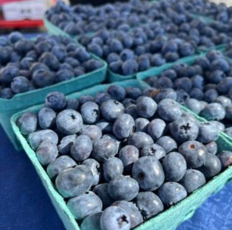 Northfield Blueberries