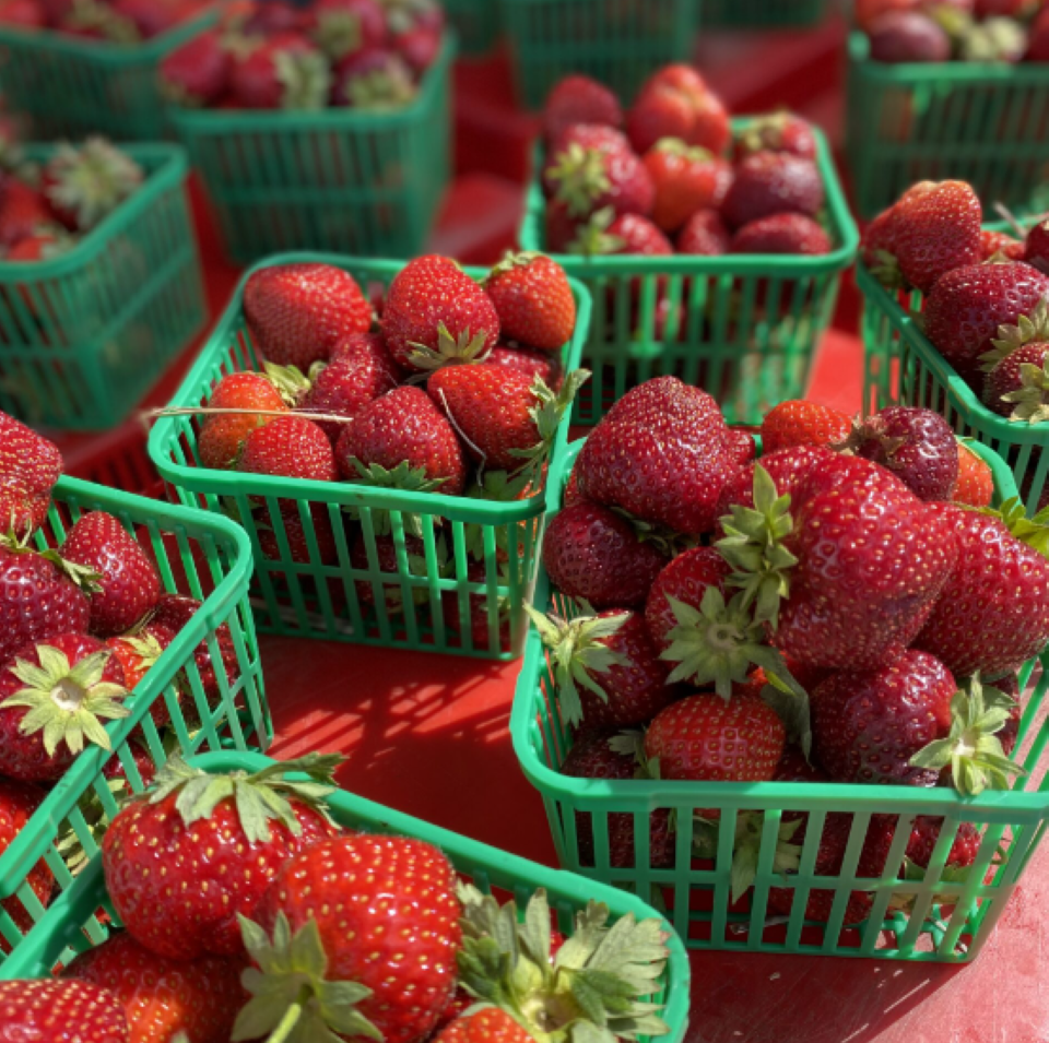 Westdale Farmer’s Market