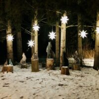 Winterlit at Mountsberg