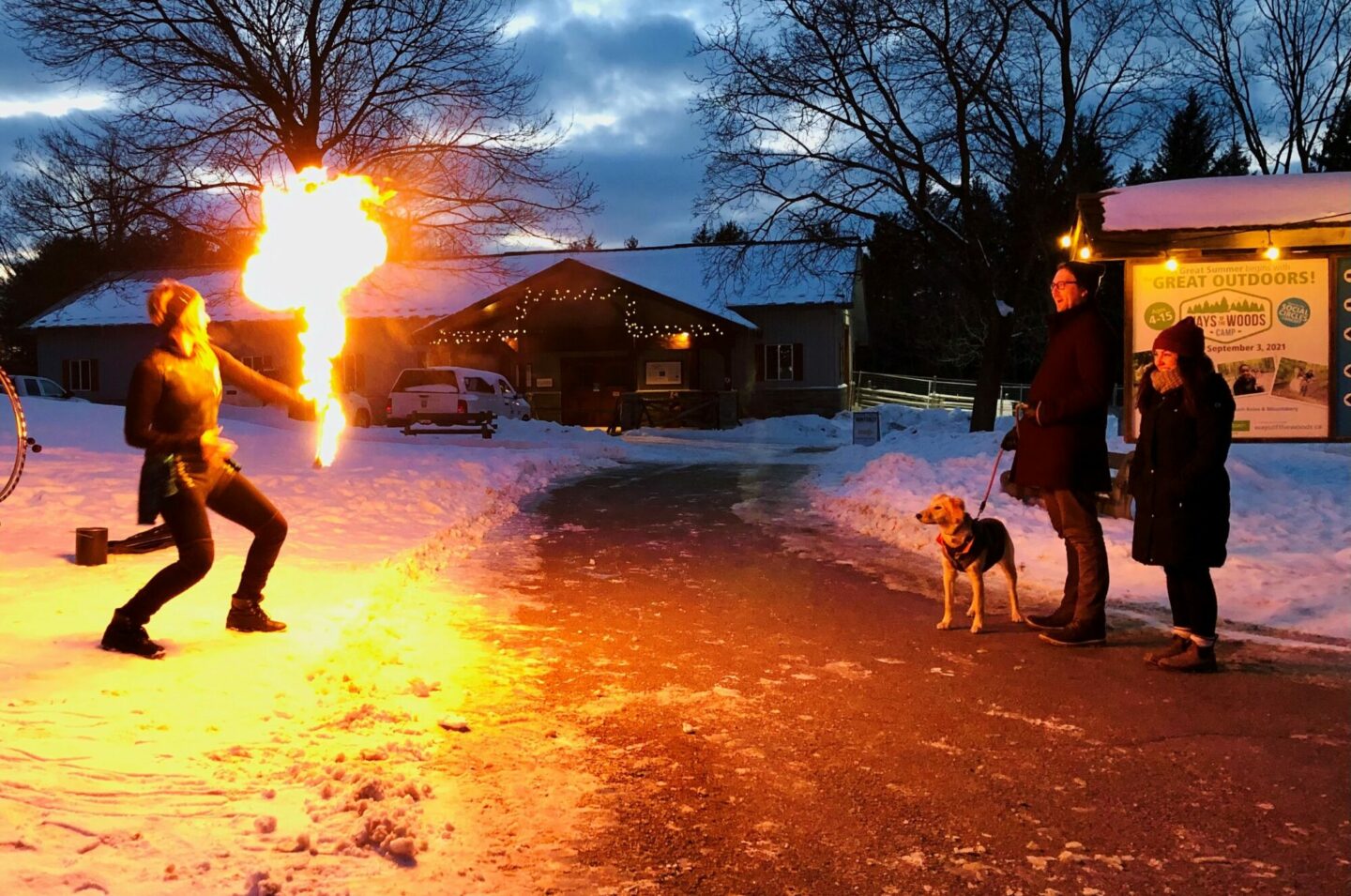 Winterlit at Mountsberg