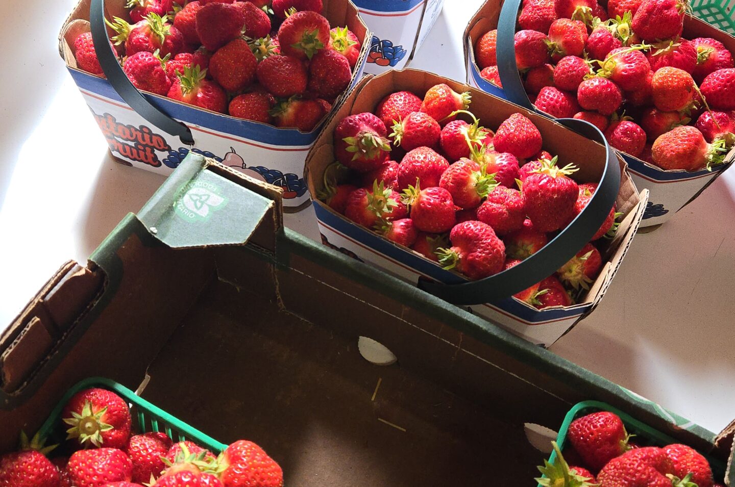 Oakville Strawberry Festival