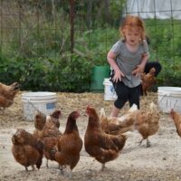 Hamilton Farm Crawl