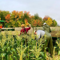 Allison’s Farm Market