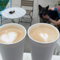 Trails Cafe