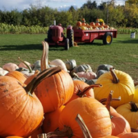 Fallbrook Farms
