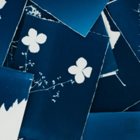 Oakville Galleries: Family Saturdays | Cyanotype