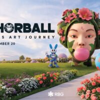 RBG After Dark: ANCHORBALL