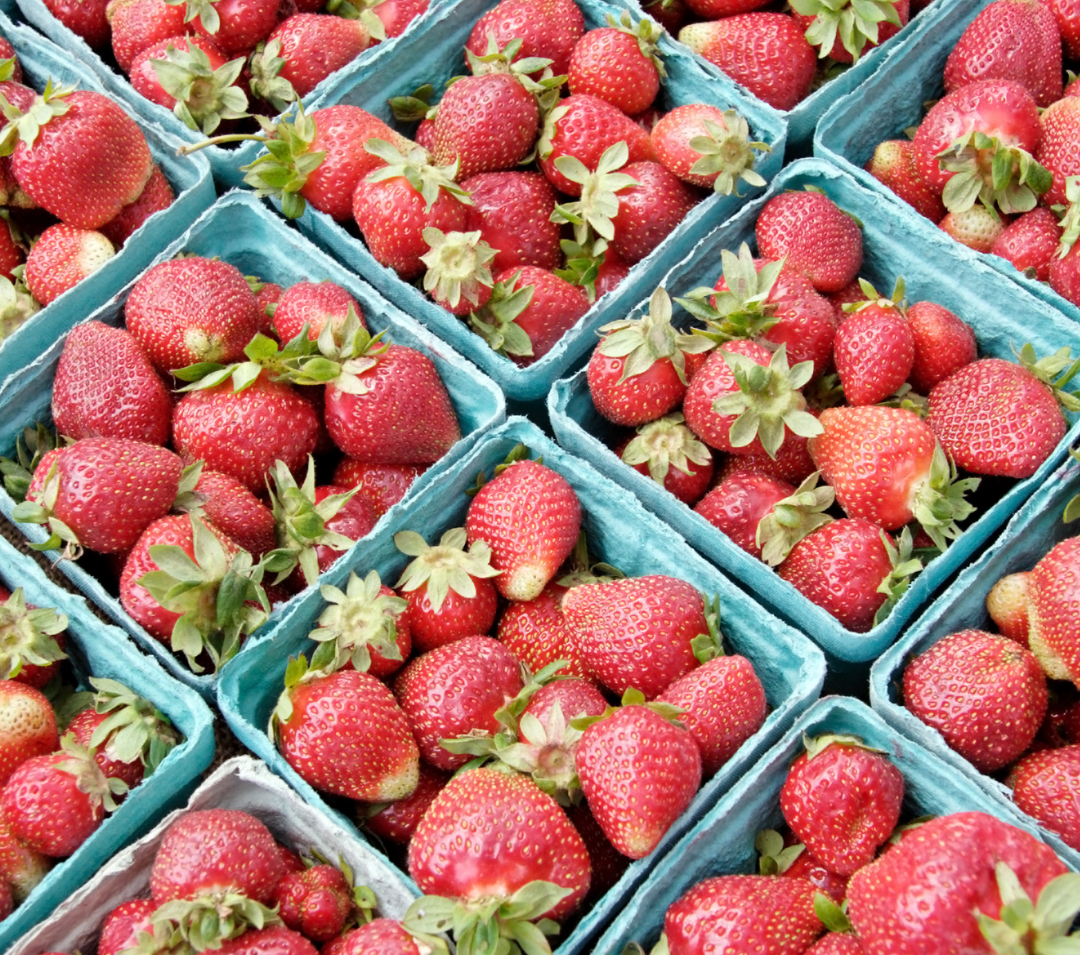 Strawberry Festival 2026