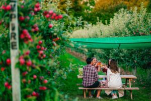 Farm Fun for All Ages <br><small>A Family Food Adventure</small></br>