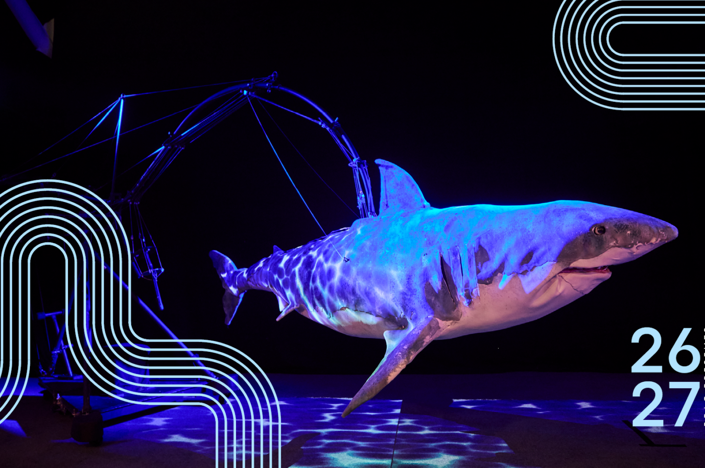 Erth’s Shark Dive